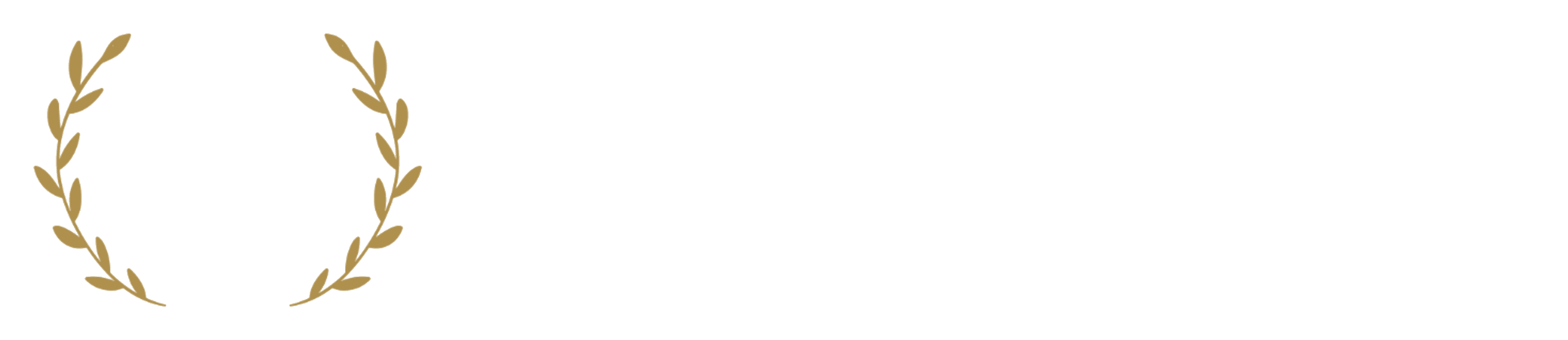 Powerclub Global logo, horizontal, transparent, for dark